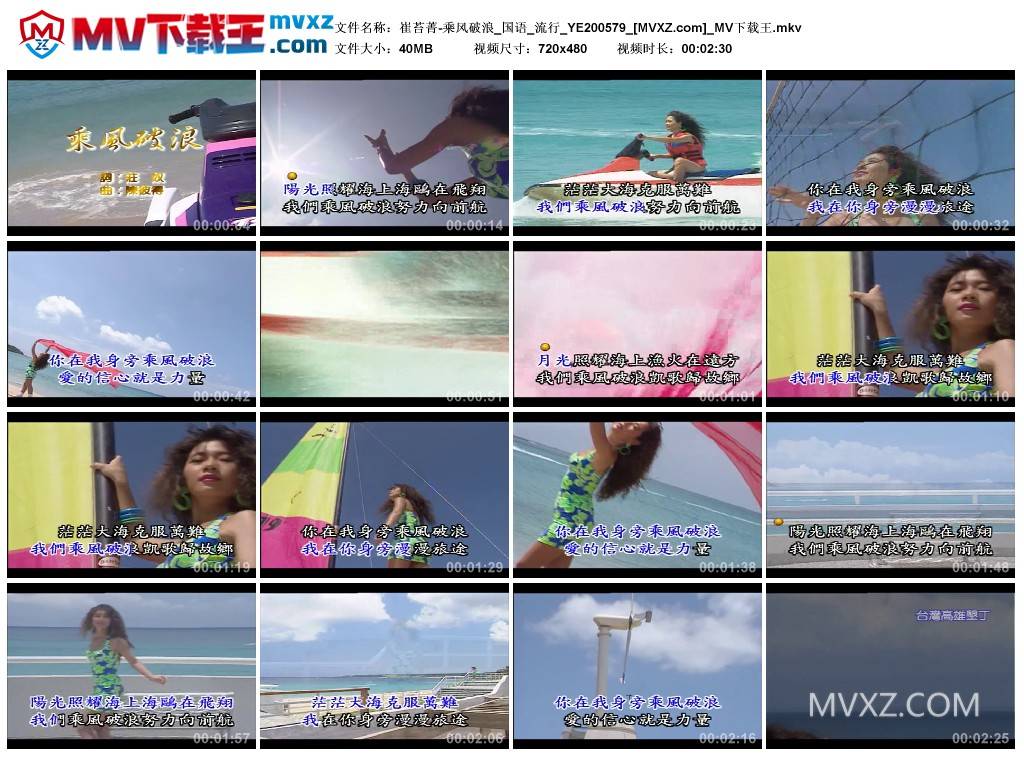 崔苔菁-乘风破浪_国语_流行_YE200579